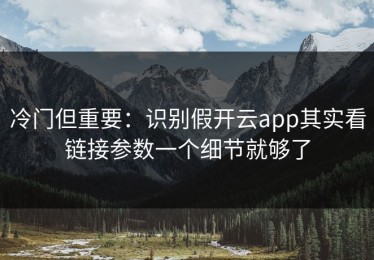 冷门但重要：识别假开云app其实看链接参数一个细节就够了