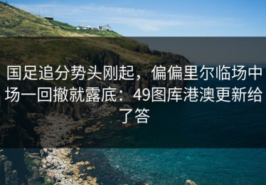 国足追分势头刚起，偏偏里尔临场中场一回撤就露底：49图库港澳更新给了答